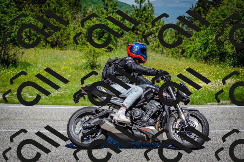 202506011113-DSC_3084_c2