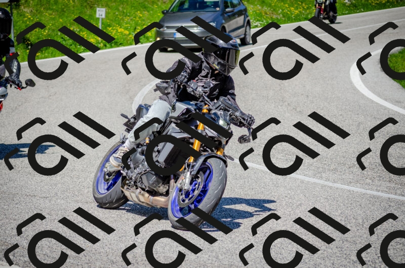 202506011113-DSC_3085_c2