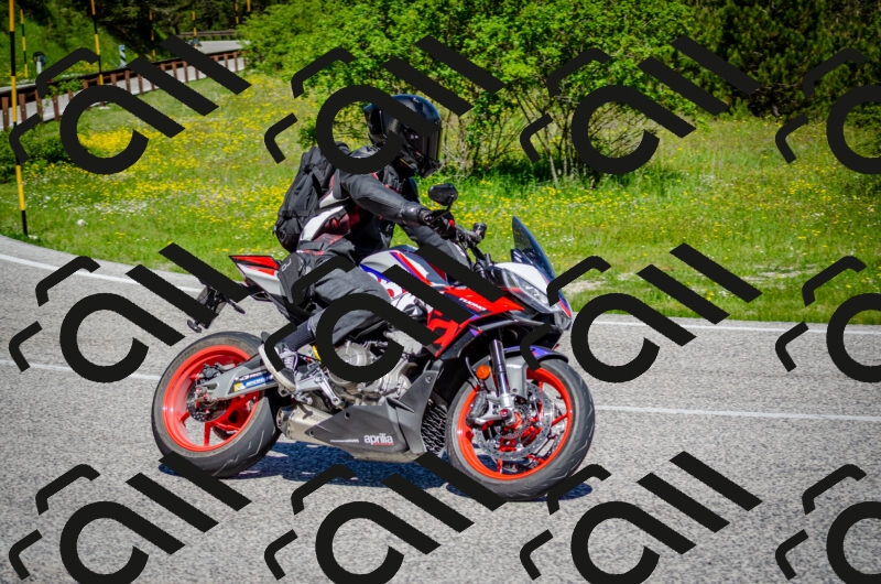 202506011113-DSC_3087_c2