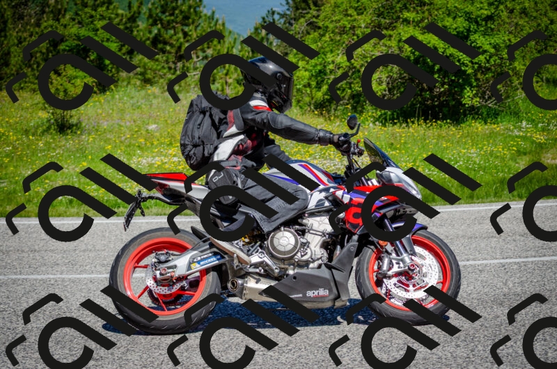 202506011113-DSC_3088_c2