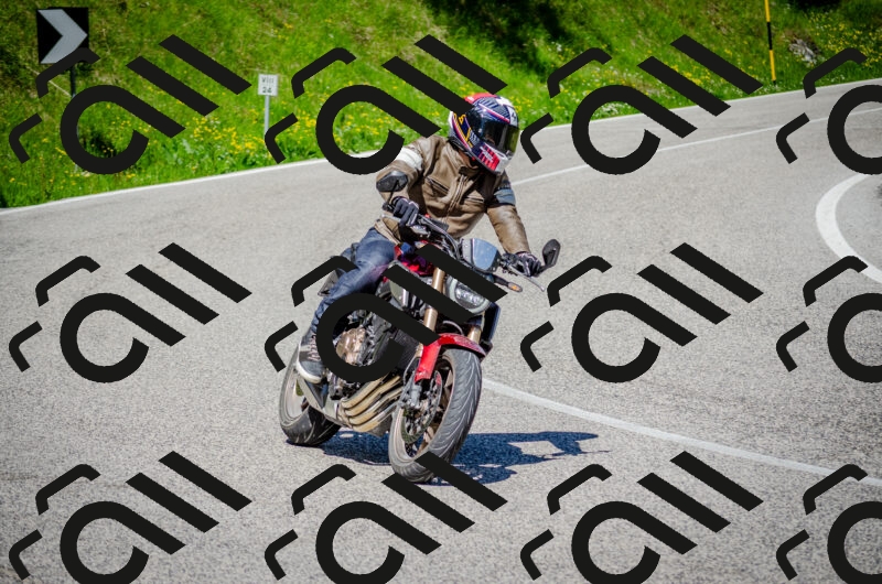 202506011113-DSC_3089_c2