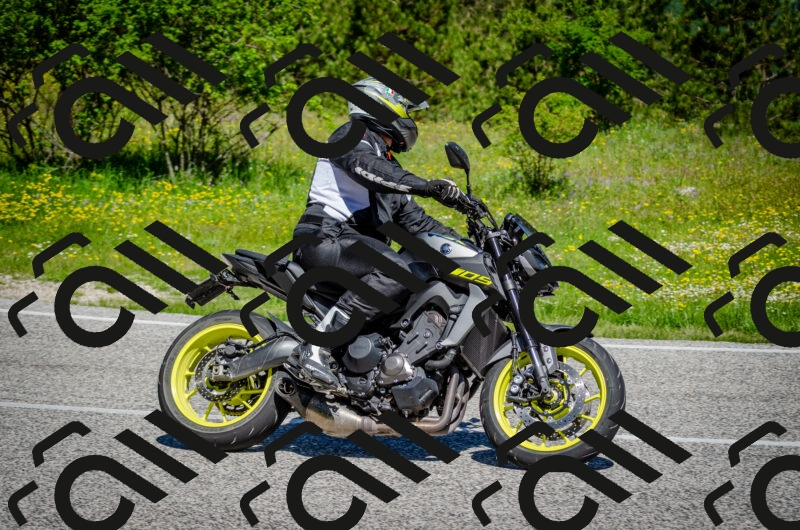 202506011114-DSC_3092_c2