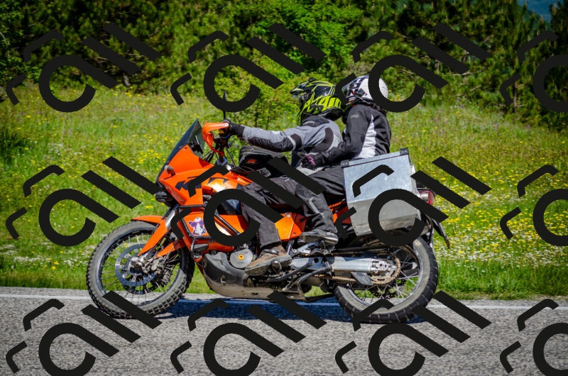 202506011114-DSC_3095_c2