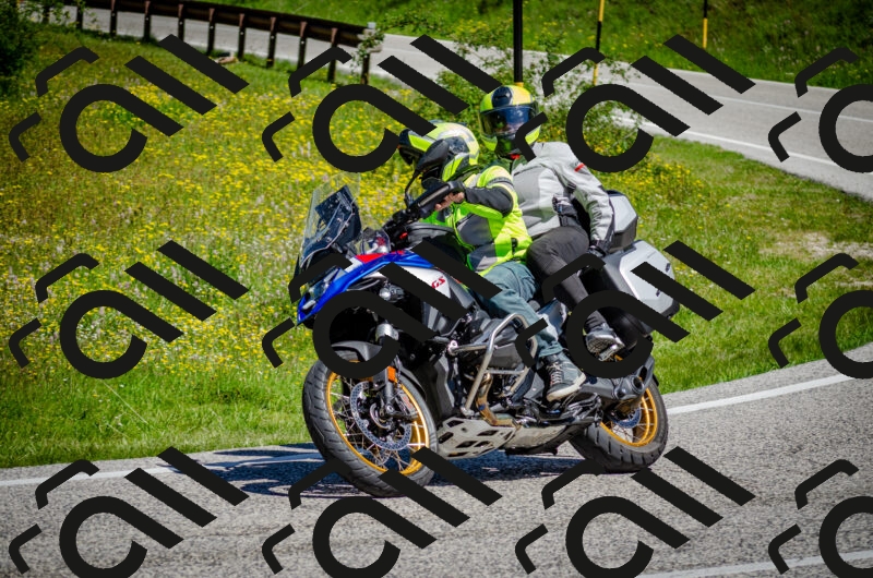 202506011115-DSC_3114_c2