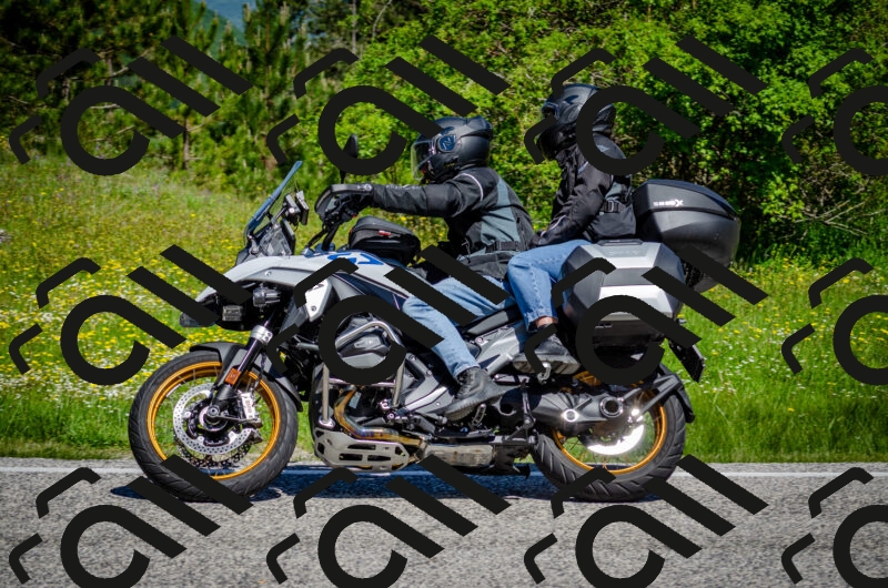 202506011115-DSC_3117_c2