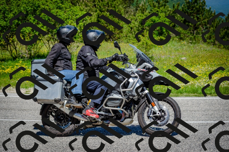 202506011115-DSC_3126_c2