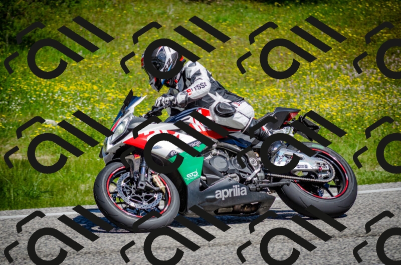 202506011116-DSC_3128_c2