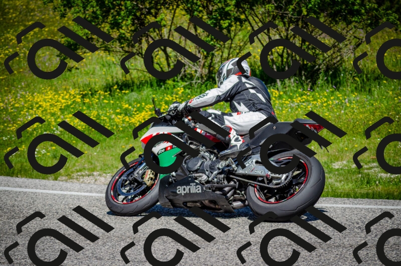 202506011116-DSC_3129_c2