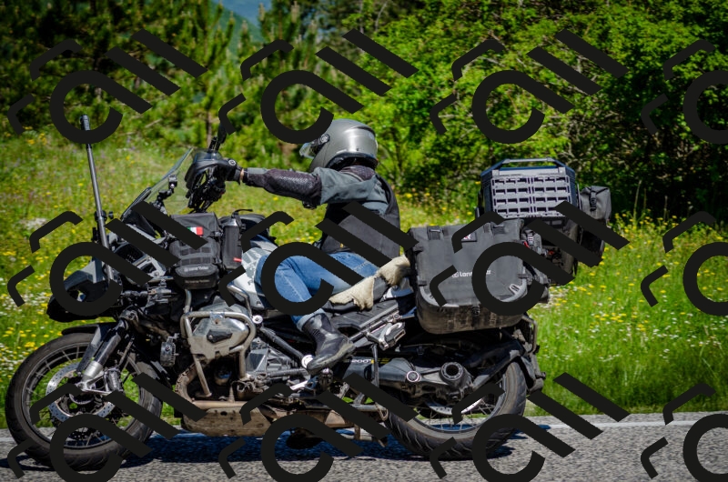 202506011116-DSC_3131_c2