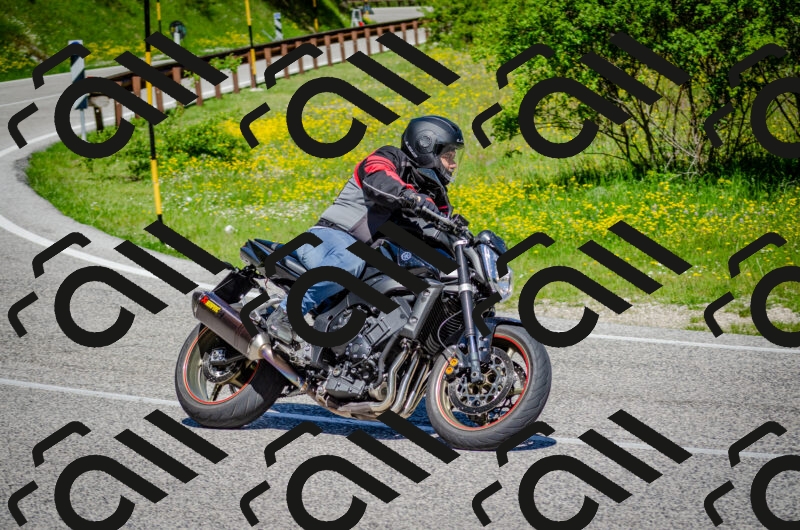 202506011116-DSC_3136_c2