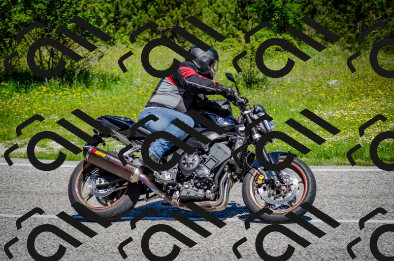 202506011116-DSC_3137_c2