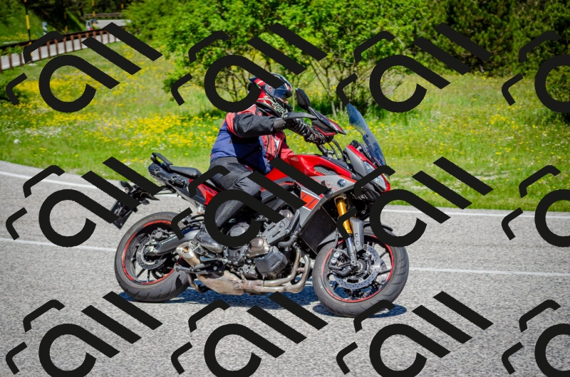 202506011117-DSC_3141_c2