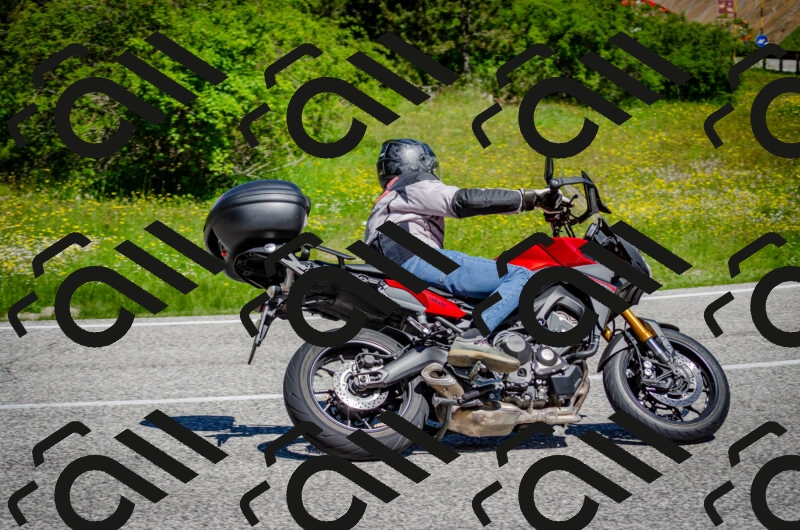 202506011117-DSC_3144_c2