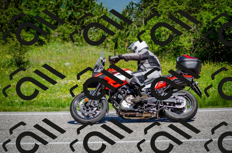 202506011117-DSC_3147_c2