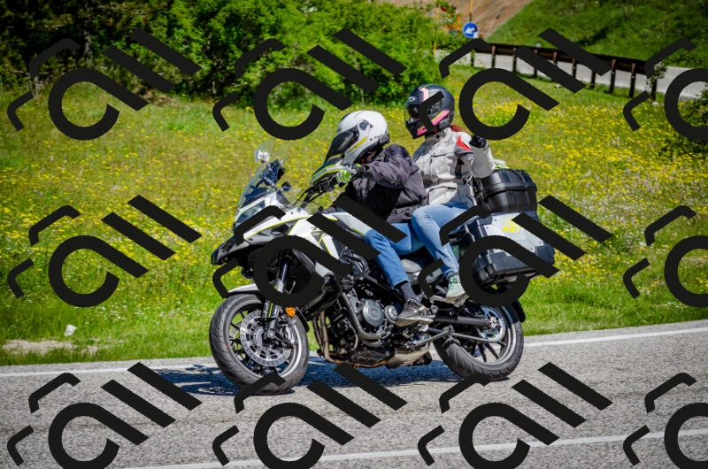 202506011118-DSC_3149_c2