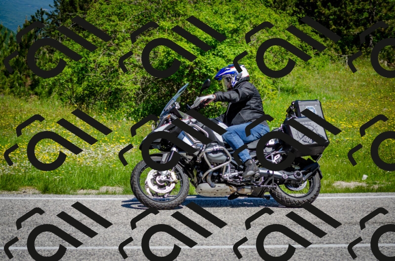 202506011118-DSC_3158_c2