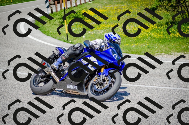 202506011119-DSC_3167_c2