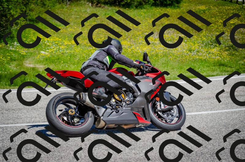 202506011119-DSC_3173_c2