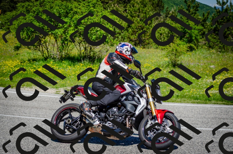 202506011120-DSC_3184_c2