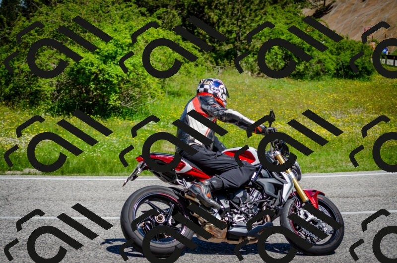 202506011120-DSC_3185_c2