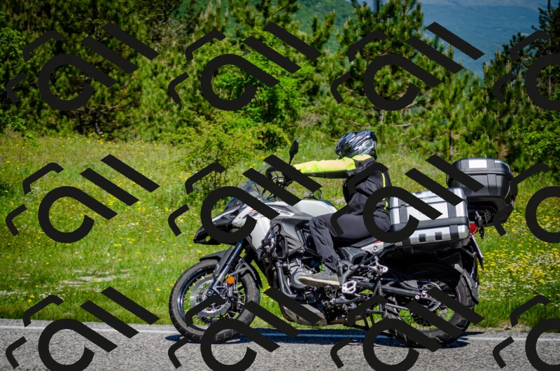 202506011121-DSC_3189_c2