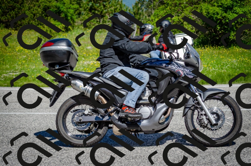 202506011121-DSC_3196_c2