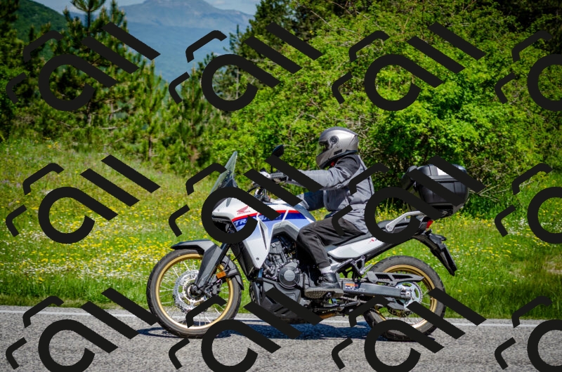 202506011122-DSC_3199_c2