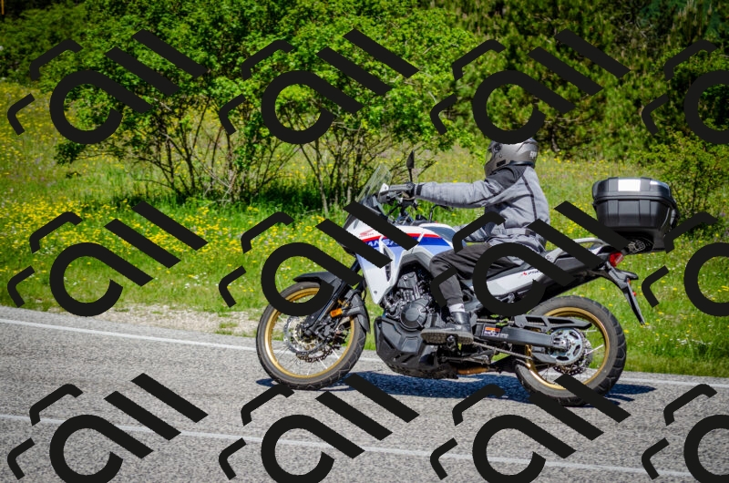 202506011122-DSC_3200_c2