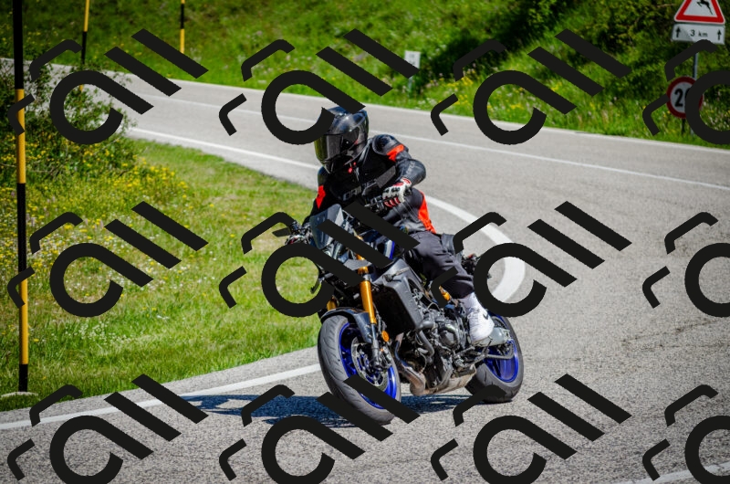 202506011124-DSC_3215_c2