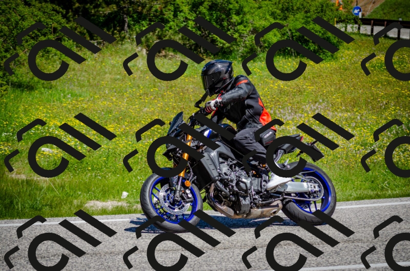 202506011124-DSC_3216_c2