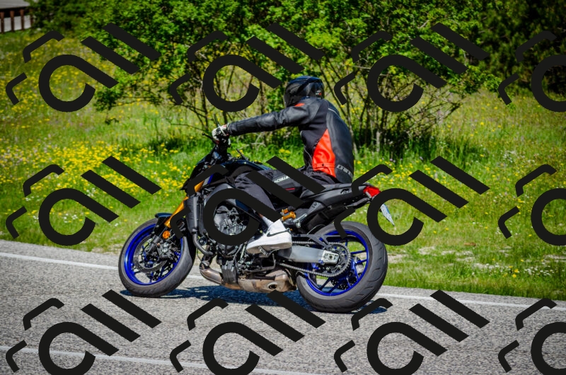 202506011124-DSC_3217_c2