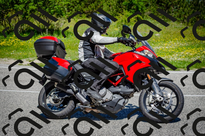 202506011125-DSC_3225_c2