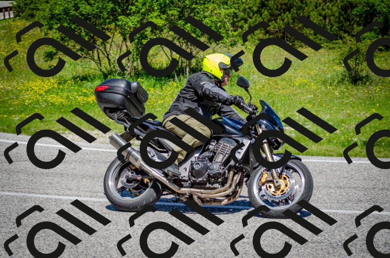 202506011125-DSC_3226_c2