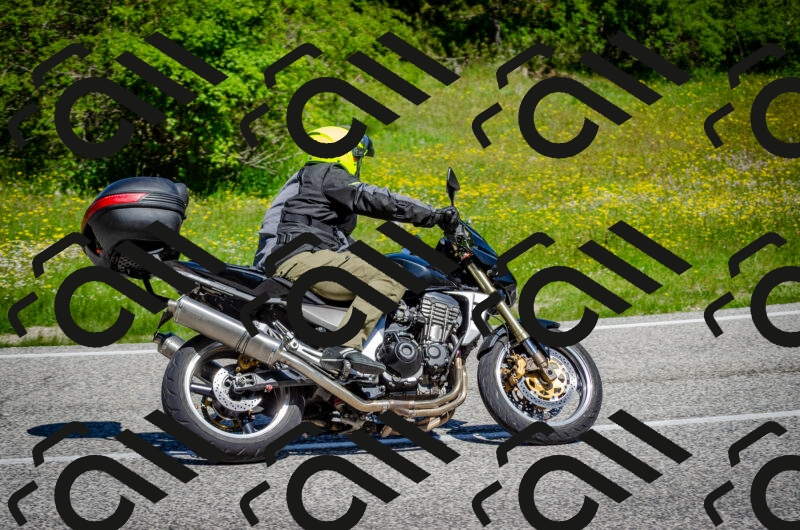 202506011125-DSC_3227_c2