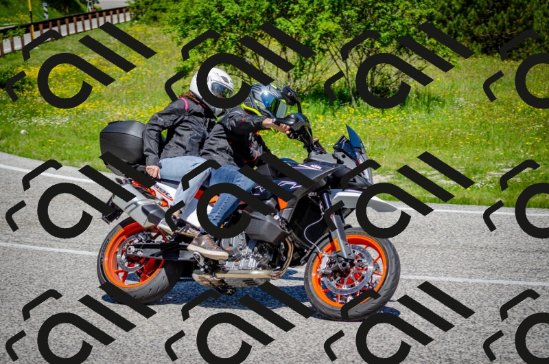 202506011125-DSC_3229_c2