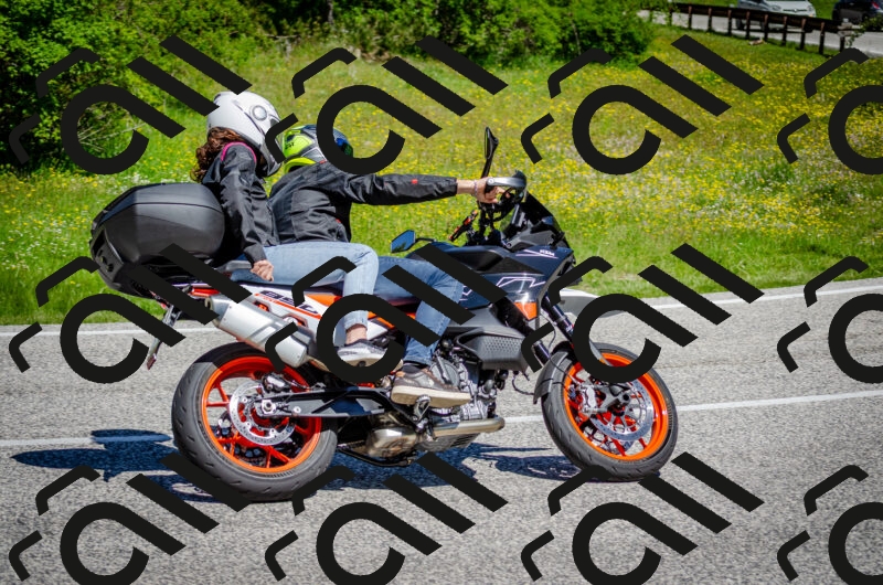 202506011125-DSC_3230_c2