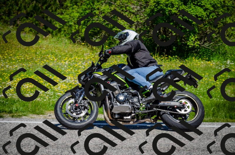 202506011126-DSC_3235_c2