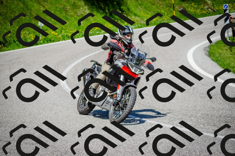 202506011127-DSC_3237_c2