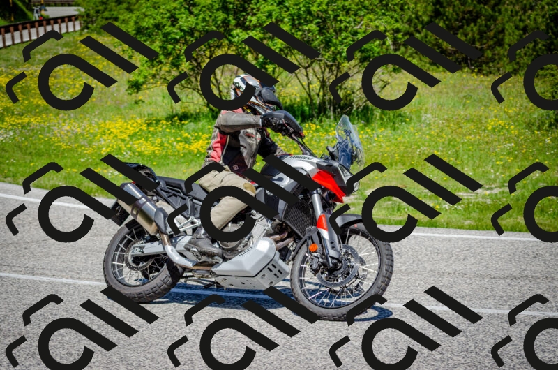 202506011127-DSC_3238_c2