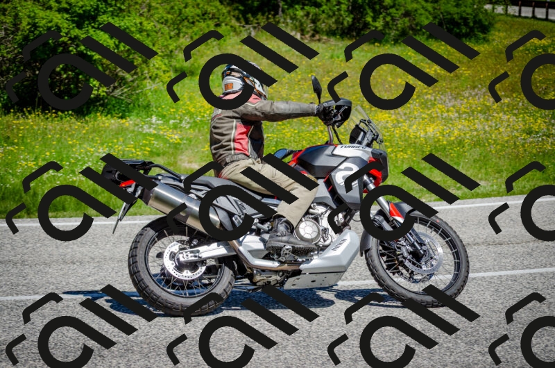 202506011127-DSC_3239_c2