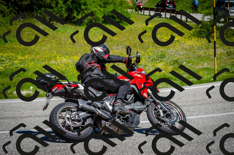 202506011129-DSC_3258_c2