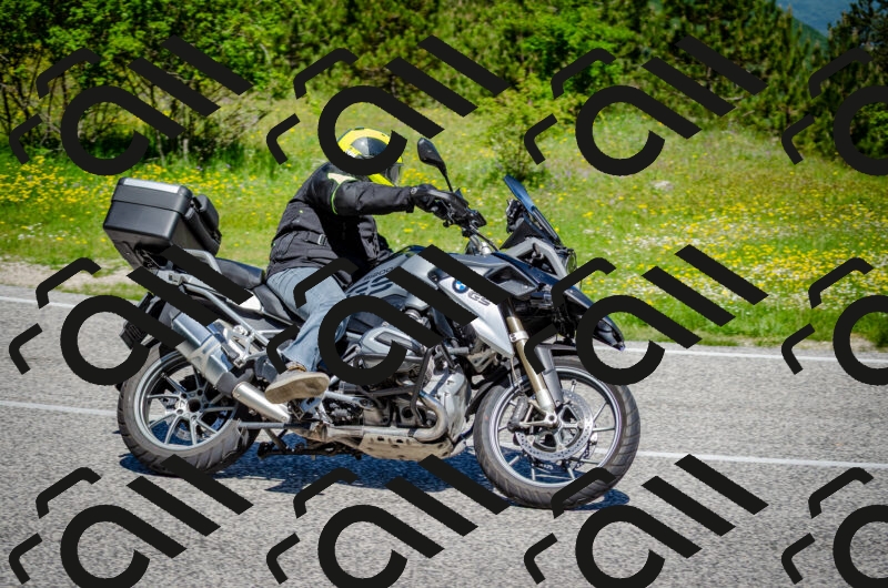 202506011129-DSC_3274_c2