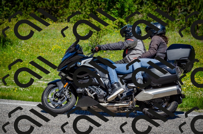 202506011130-DSC_3281_c2