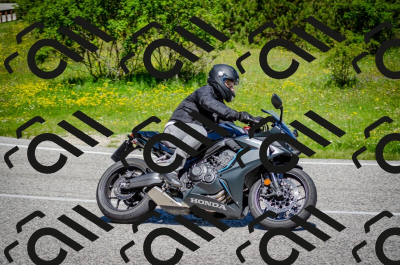 202506011132-DSC_3296_c2