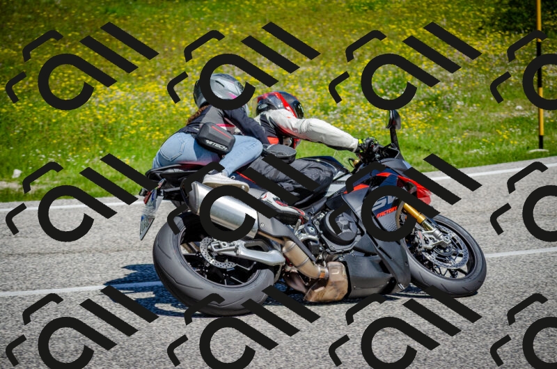 202506011132-DSC_3298_c2