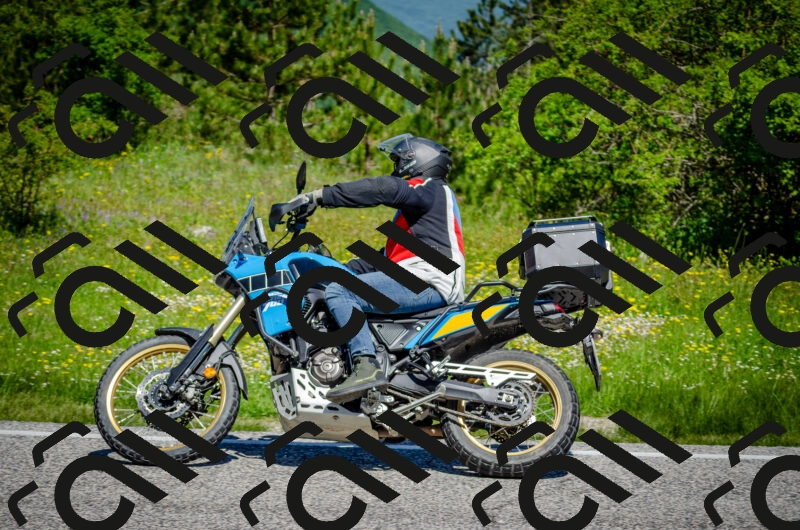 202506011133-DSC_3309_c2