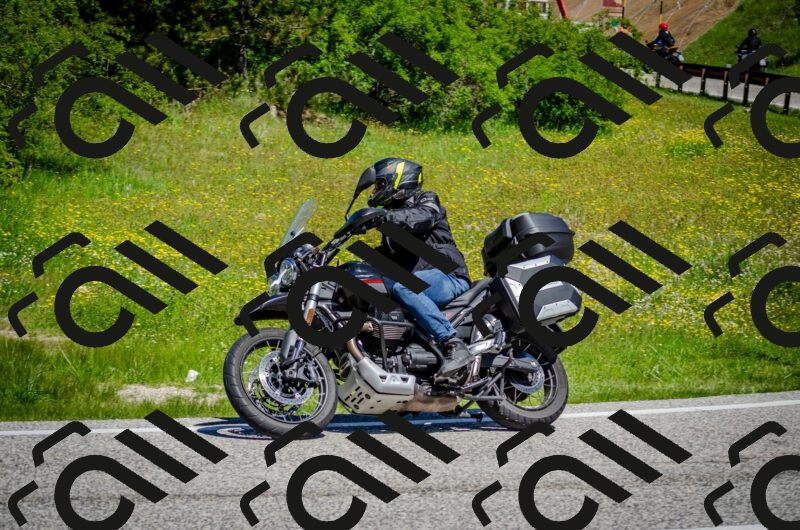 202506011133-DSC_3310_c2