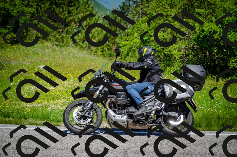 202506011133-DSC_3311_c2