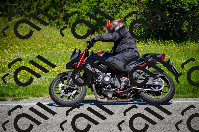 202506011133-DSC_3313_c2