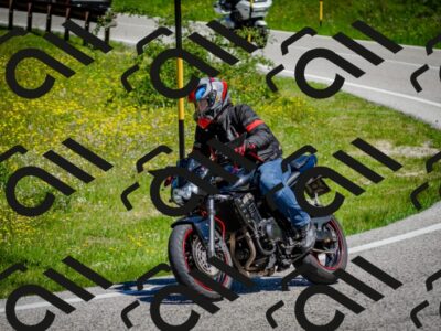 202506011133-DSC_3314_c2